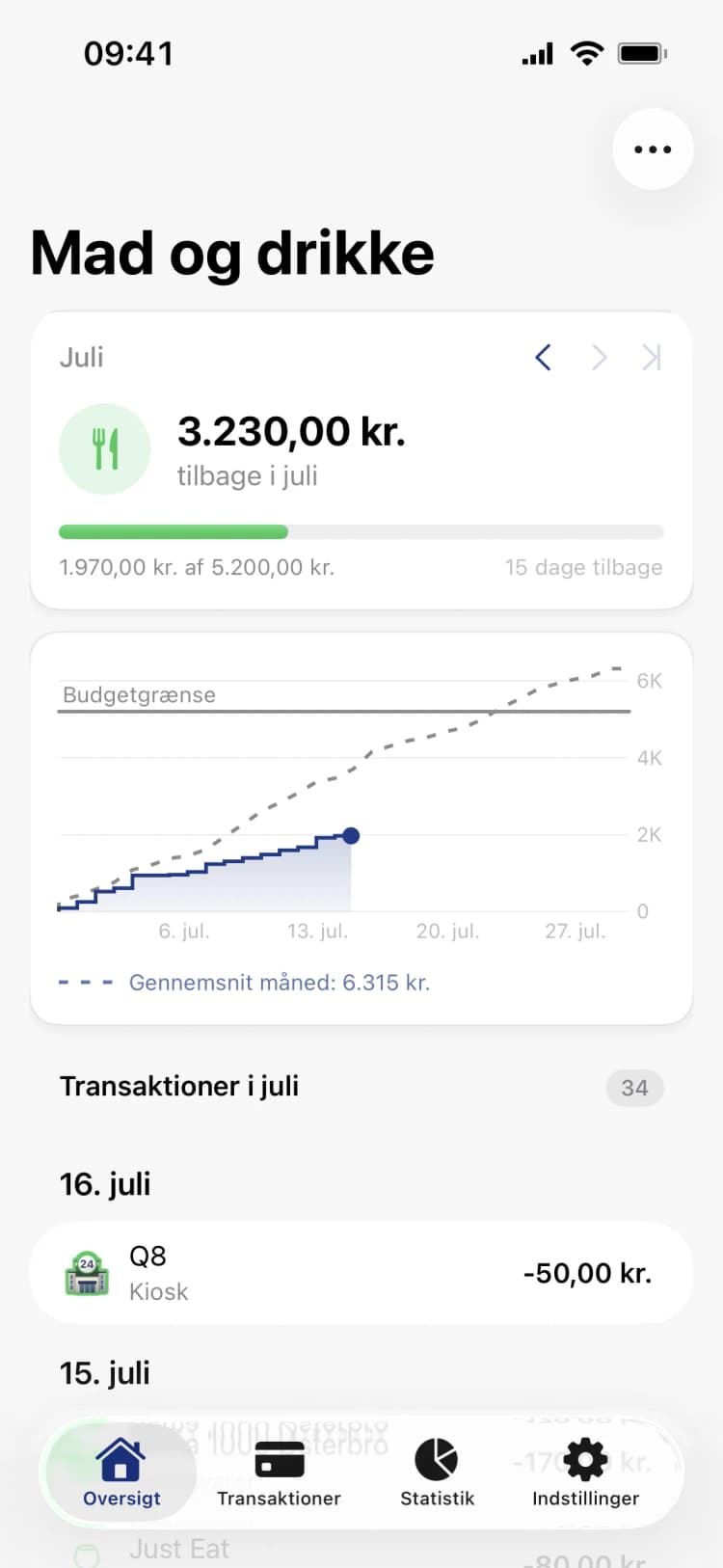 Penge: Følg budgettet i detaljer